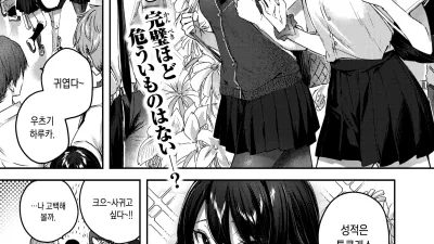 퍼펙트걸?